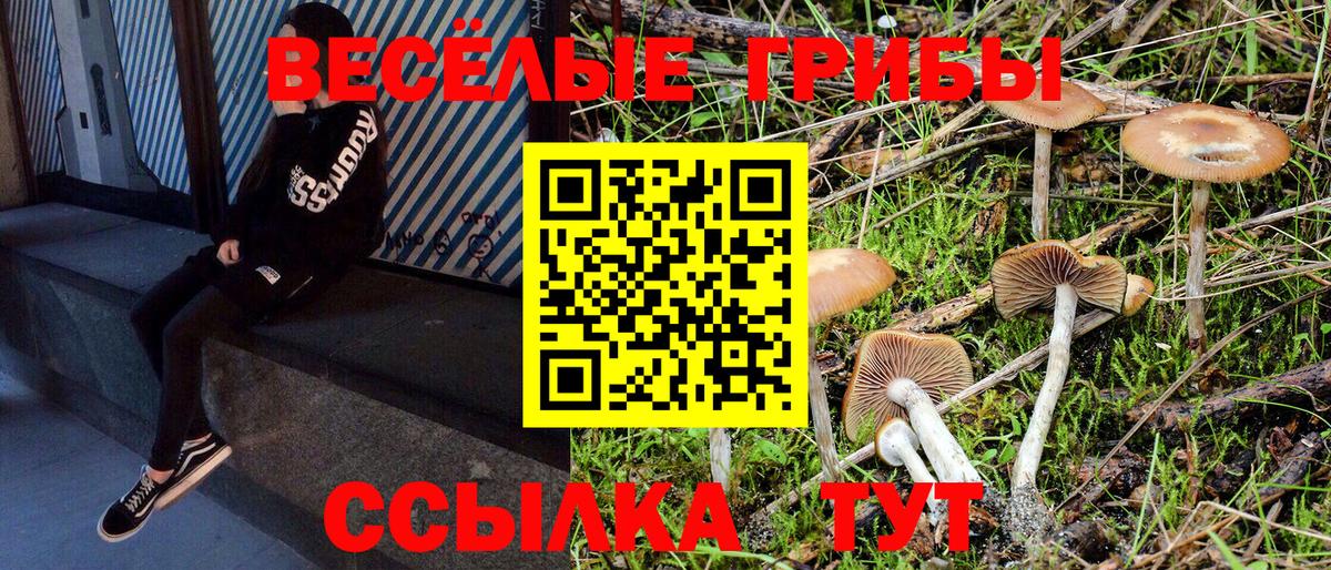 хочу наркоту  Псилоцибиновые грибы ЛСД  Вход с VPN  Кубинка 